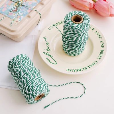 Fai da te 2 fili di cordone torto 550 libbre 2 mm di cotone macrame cordone