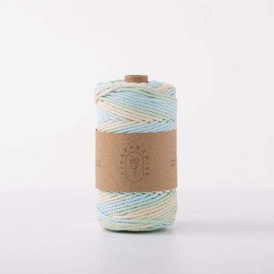 ISO9001 Corda di cotone a treccia massiccia colorata 3 mm torciata a macrame
