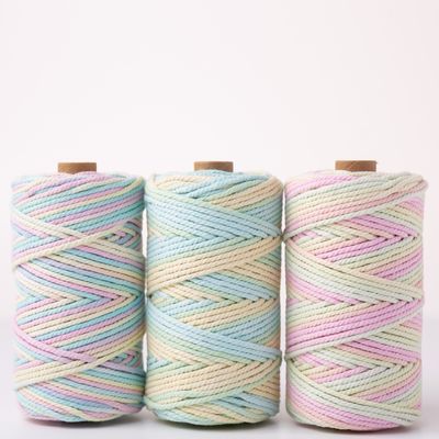 ISO9001 Corda di cotone a treccia massiccia colorata 3 mm torciata a macrame