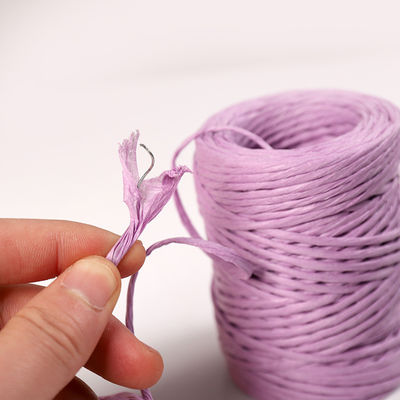 Corde di carta con filo di ferro da 2 mm Eco DIY Corde di carta contorta biodegradabile