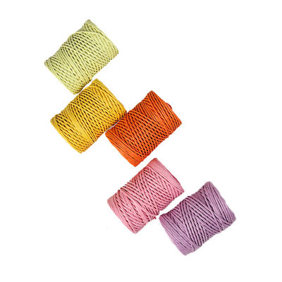 Corde di carta con filo di ferro da 2 mm Eco DIY Corde di carta contorta biodegradabile