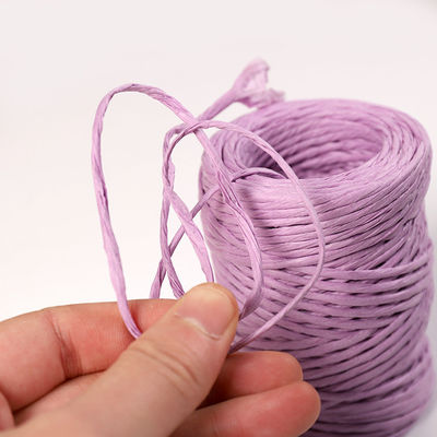 Corde di carta con filo di ferro da 2 mm Eco DIY Corde di carta contorta biodegradabile